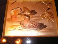 duck 003pic.webp