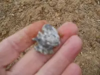 P1010241.webp