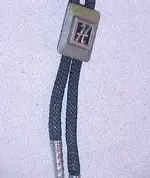 bolo slide.webp