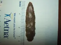DSCF1322.webp