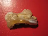strange stone 002.webp
