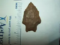 DSCF1334.webp