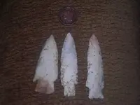 DSCN1318.webp