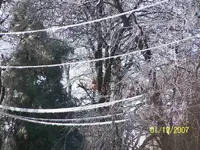 ice on power lines.webp