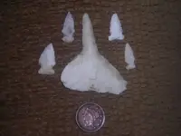 DSCN1314.webp