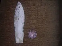 DSCN1312.webp