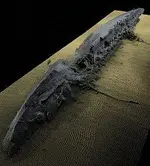0107_Scapa_Sonar_Koln2.webp