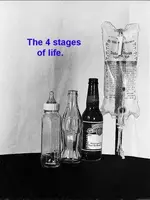 4stages.webp