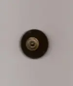 Button Back.webp