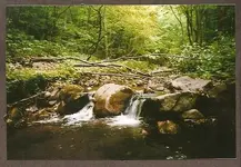 1st falls 02.webp