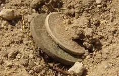 Coins Kissing 2.webp
