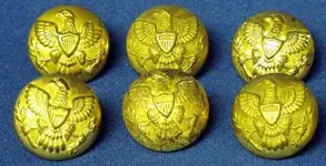 Eagle buttons Medium Web view.webp