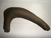 fossil 1.webp