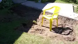 dig8-31-06b.webp