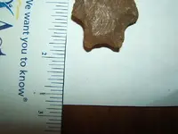 DSCF1335.webp
