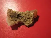 strange stone 003.webp