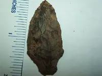 DSCF1344.webp