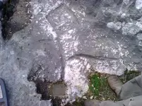 Image-1.webp