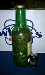 Pennies.webp