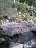 Image-3.webp