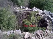 Image-4.webp