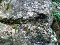 Image-5.webp
