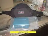 FAN3.webp