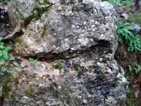 Image0311.webp