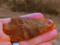 DSCF0009.webp