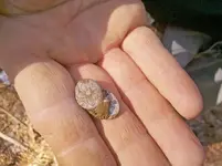 Neil_finds_cufflinks.webp