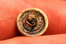NC FINDS 02-12010.webp