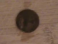 buffalo nickel.  found 1-31-2011.webp