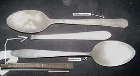 favorite silver spoons.webp