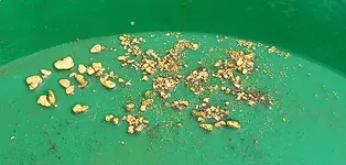 chucks gold 4.webp