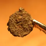 nc finds 12-29 010.webp