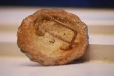 rosette1.webp