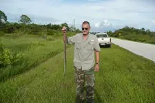 rattlesmake2.webp