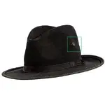 1876 campaign hat.webp