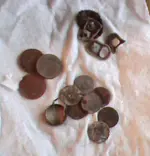 Finds.webp