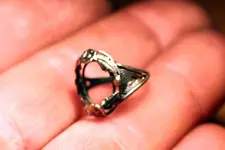 SILVER BOUGHT .1 029.webp