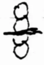 8.webp