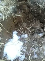 121800_1618[00].webp