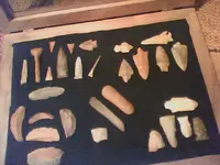 Picture0088.webp
