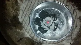 2011-01-07_17-49-05_431 (1280x719).webp