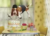 beagle.webp