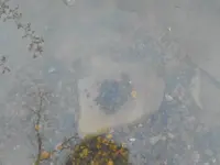DSCF0001.webp