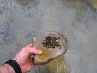 DSCF0006.webp