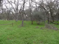 orangevale park 060 copy.webp