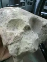 Rock skull.webp