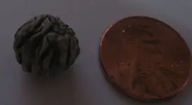 StrangeObject 006smaller.webp
